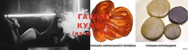 прущие грибы Абаза