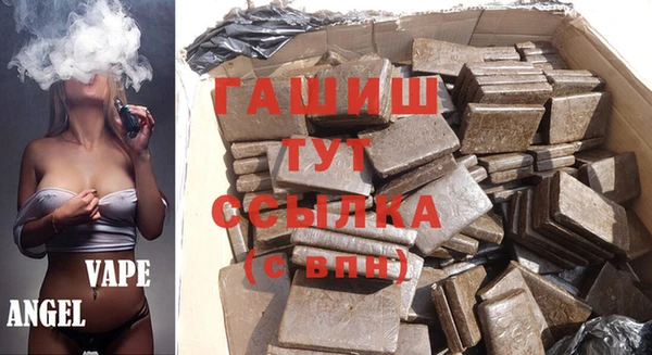 прущие грибы Абаза