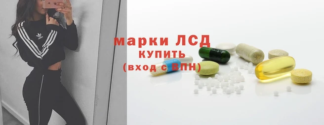 прущие грибы Абаза