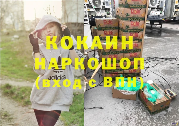 прущие грибы Абаза