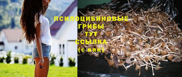 мескалин Абинск