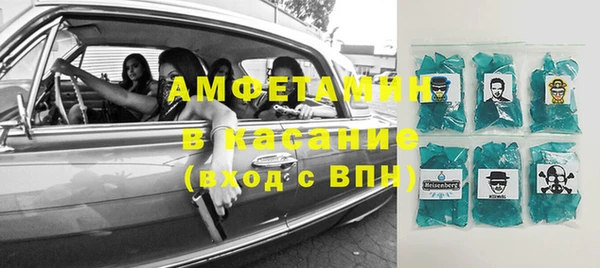 прущие грибы Абаза