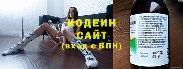 прущие грибы Абаза