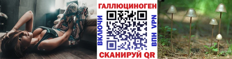 Псилоцибиновые грибы GOLDEN TEACHER  сколько стоит  Алагир 